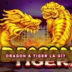 Dragon & Tiger là gì?